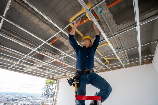 Best Emergency Plumber  in Vevay, IN